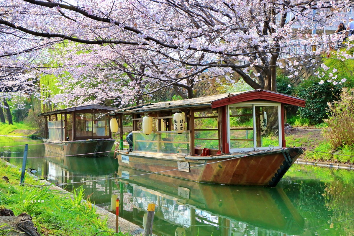 【日本京都】伏見十石舟‧最美的櫻花運河,重回江戶時代靜謐賞櫻,春季最具代表性的水上賞櫻 - 第4張圖 【日本京都】伏見十石舟‧最美的櫻花運河,重回江戶時代靜謐賞櫻,春季最具代表性的水上賞櫻
