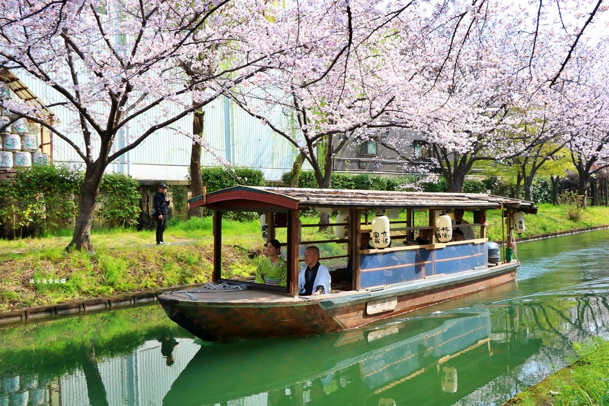 【日本京都】伏見十石舟‧最美的櫻花運河,重回江戶時代靜謐賞櫻,春季最具代表性的水上賞櫻 - 第19張圖 【日本京都】伏見十石舟‧最美的櫻花運河,重回江戶時代靜謐賞櫻,春季最具代表性的水上賞櫻