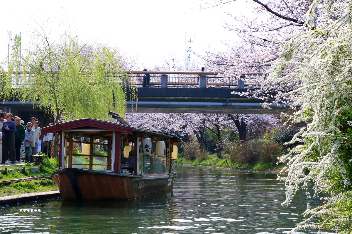 【日本京都】伏見十石舟‧最美的櫻花運河,重回江戶時代靜謐賞櫻,春季最具代表性的水上賞櫻 - 第23張圖 【日本京都】伏見十石舟‧最美的櫻花運河,重回江戶時代靜謐賞櫻,春季最具代表性的水上賞櫻