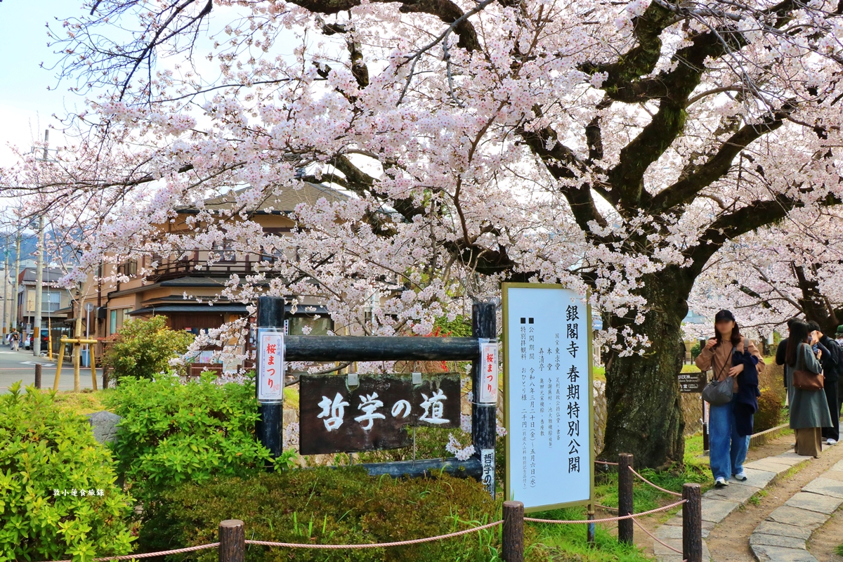 【日本京都】哲學之道‧京都散策首選哲學之道，春櫻秋楓散步小徑，來場春櫻約會