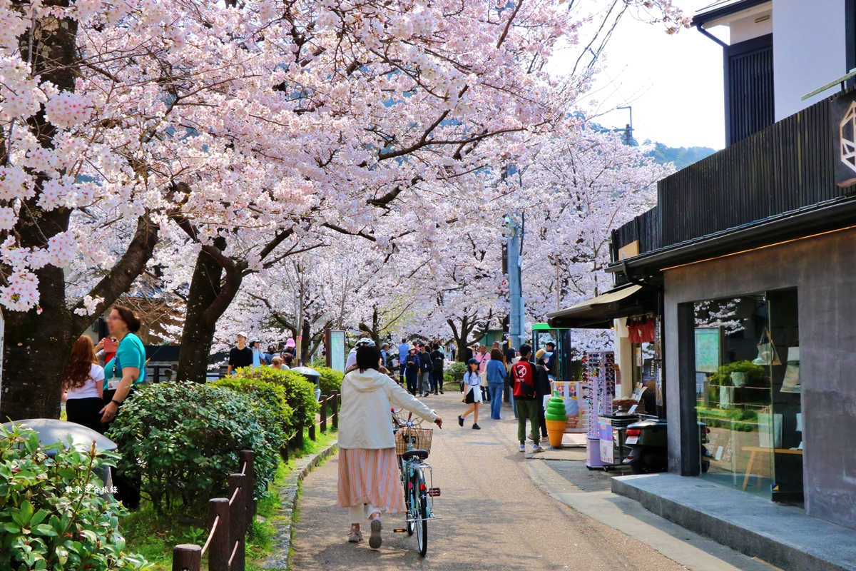 【日本京都】哲學之道‧京都散策首選哲學之道，春櫻秋楓散步小徑，來場春櫻約會