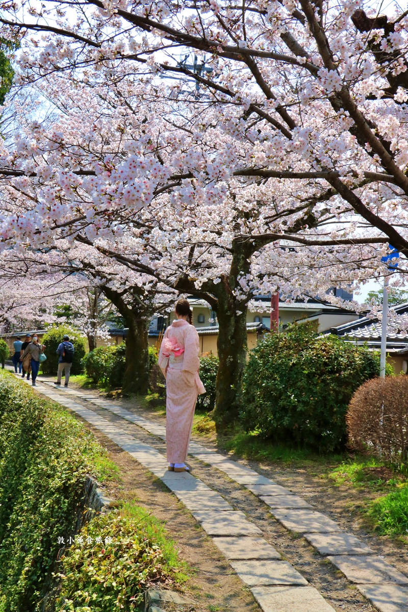 【日本京都】哲學之道‧京都散策首選哲學之道，春櫻秋楓散步小徑，來場春櫻約會