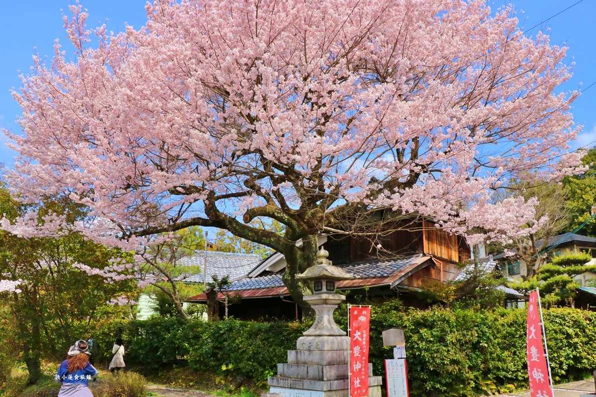 【日本京都】哲學之道‧京都散策首選哲學之道，春櫻秋楓散步小徑，來場春櫻約會