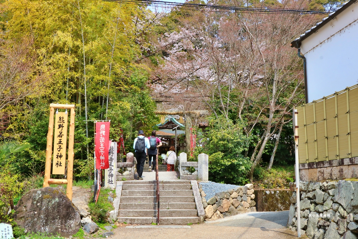 【日本京都】哲學之道‧京都散策首選哲學之道，春櫻秋楓散步小徑，來場春櫻約會