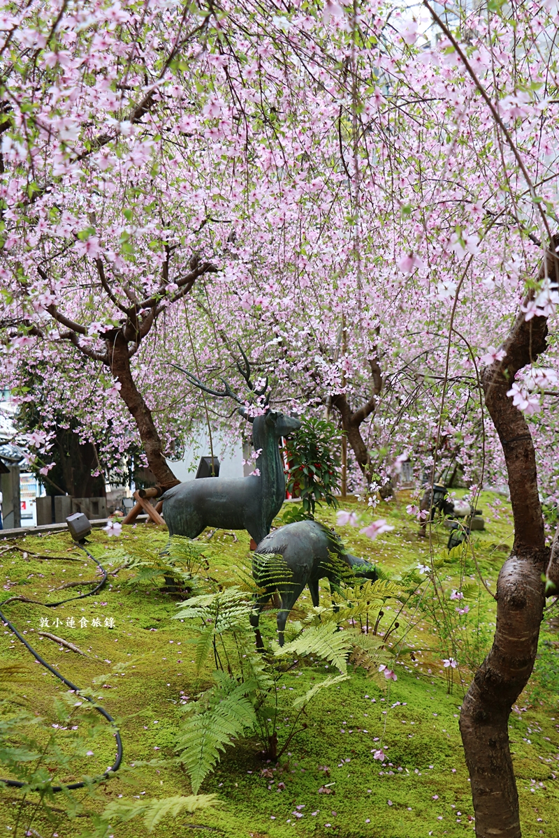 【日本京都】頂法寺-六角堂‧千年歷史京都市中心,歷史悠久六角形佛寺,花道發源地!!同場加映升財祈運-御金神社!! - 第11張圖 【日本京都】頂法寺-六角堂‧千年歷史京都市中心,歷史悠久六角形佛寺,花道發源地!!同場加映升財祈運-御金神社!!
