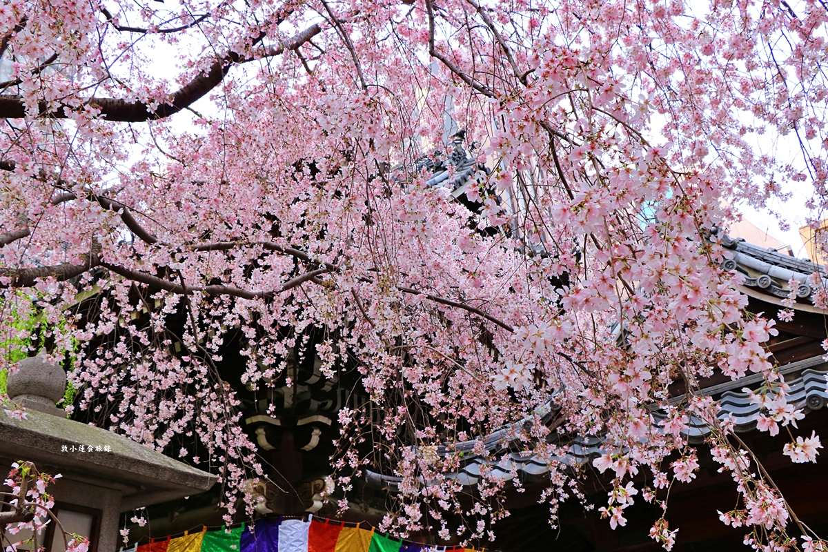 【日本京都】頂法寺-六角堂‧千年歷史京都市中心,歷史悠久六角形佛寺,花道發源地!!同場加映升財祈運-御金神社!! - 第16張圖 【日本京都】頂法寺-六角堂‧千年歷史京都市中心,歷史悠久六角形佛寺,花道發源地!!同場加映升財祈運-御金神社!!