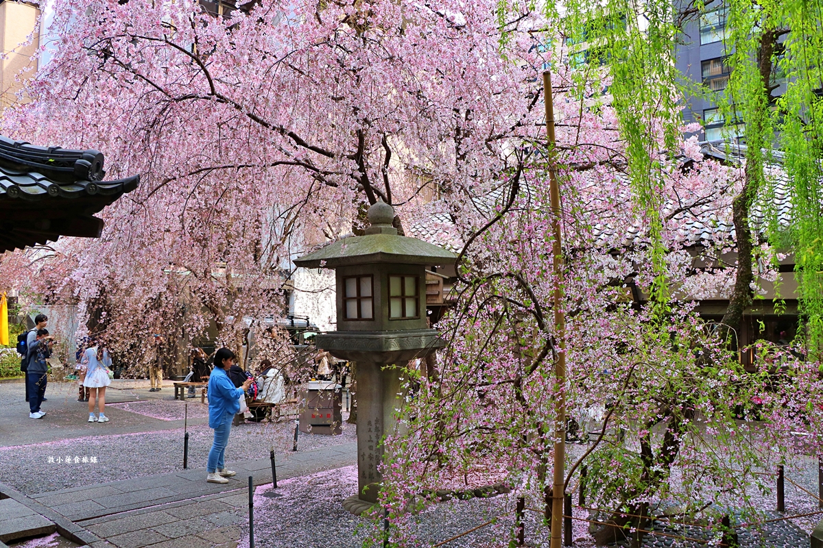 【日本京都】頂法寺-六角堂‧千年歷史京都市中心,歷史悠久六角形佛寺,花道發源地!!同場加映升財祈運-御金神社!! - 第19張圖 【日本京都】頂法寺-六角堂‧千年歷史京都市中心,歷史悠久六角形佛寺,花道發源地!!同場加映升財祈運-御金神社!!