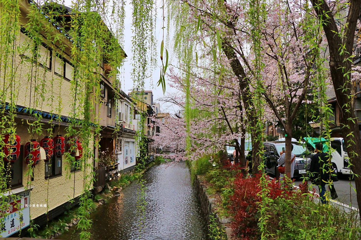 【日本京都】祇園白川櫻花‧京都浪漫賞櫻川道，如夢如幻的白川櫻，期間限定夜櫻點燈