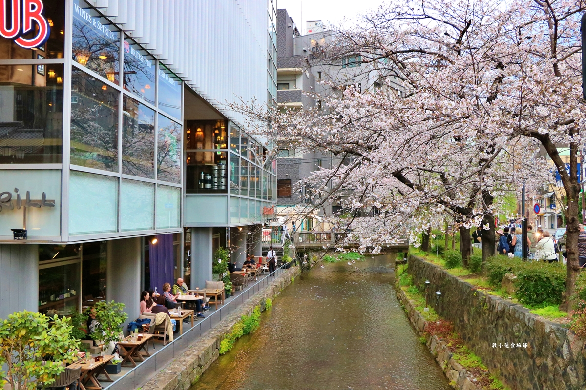 【日本京都】祇園白川櫻花‧京都浪漫賞櫻川道，如夢如幻的白川櫻，期間限定夜櫻點燈