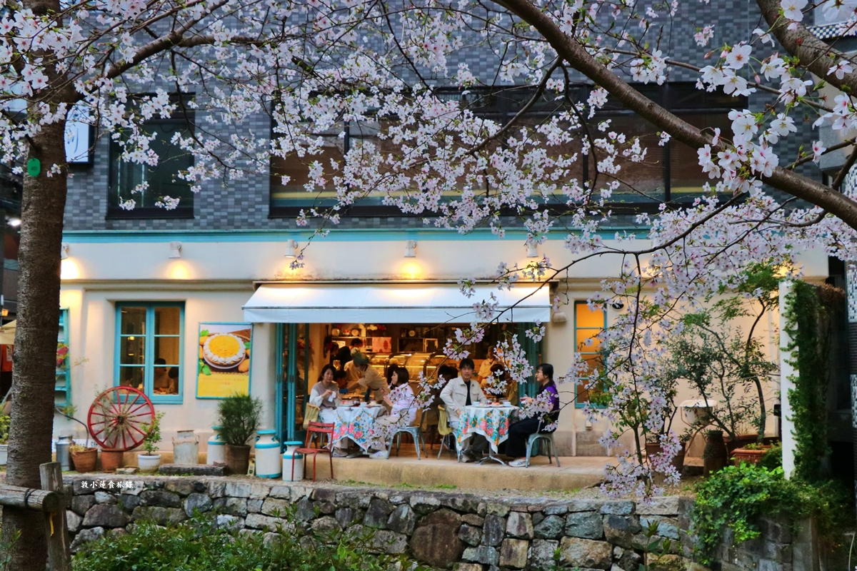 【日本京都】祇園白川櫻花‧京都浪漫賞櫻川道，如夢如幻的白川櫻，期間限定夜櫻點燈