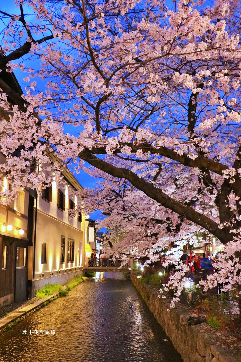 【日本京都】祇園白川櫻花‧京都浪漫賞櫻川道，如夢如幻的白川櫻，期間限定夜櫻點燈