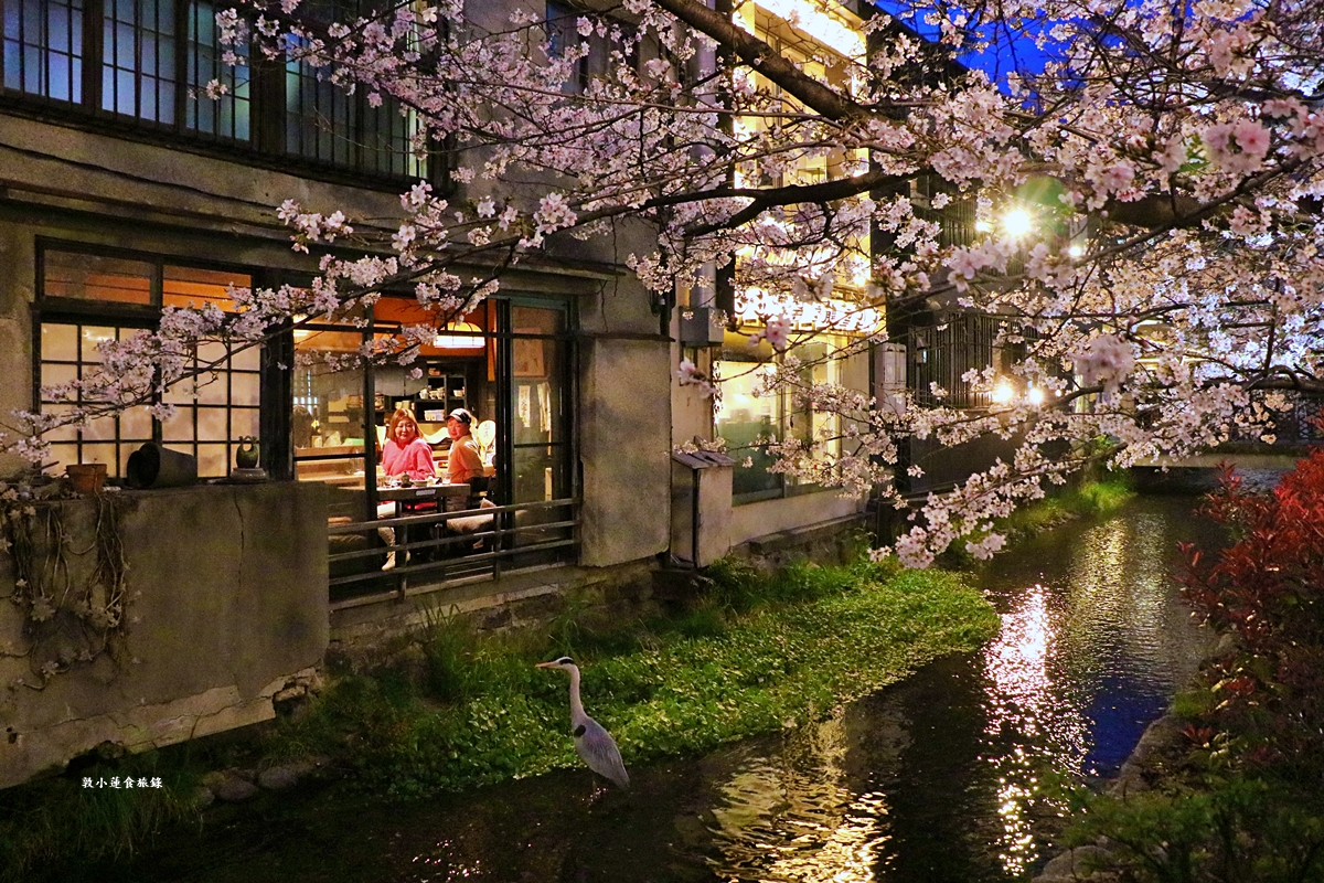 【日本京都】祇園白川櫻花‧京都浪漫賞櫻川道，如夢如幻的白川櫻，期間限定夜櫻點燈