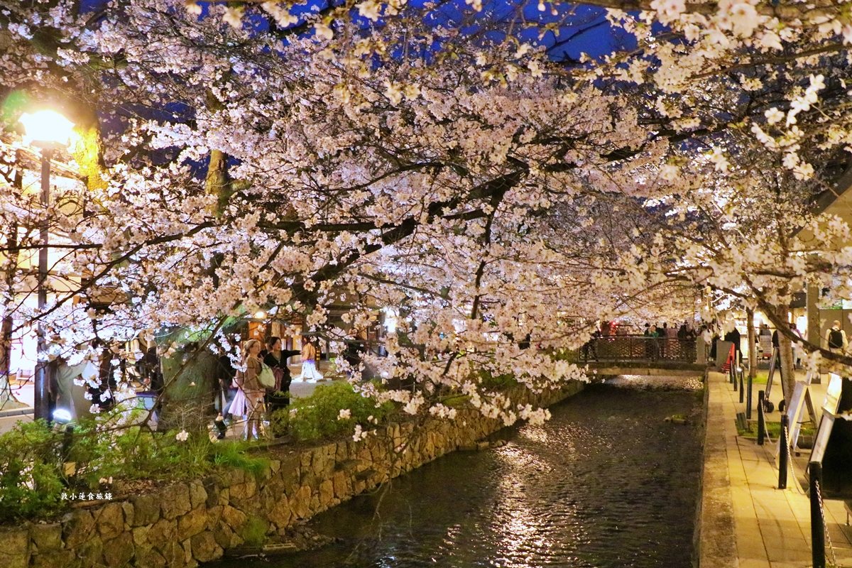 【日本京都】祇園白川櫻花‧京都浪漫賞櫻川道，如夢如幻的白川櫻，期間限定夜櫻點燈
