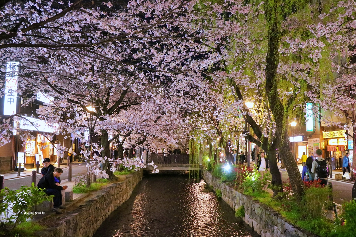 【日本京都】祇園白川櫻花‧京都浪漫賞櫻川道，如夢如幻的白川櫻，期間限定夜櫻點燈